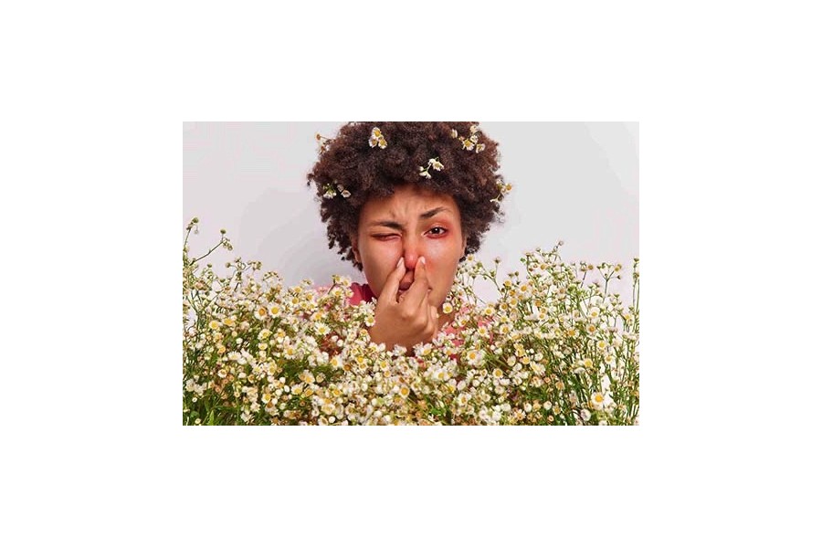 LOS MEJORES ANTIALÉRGICOS Y ANTIHISTAMÍNICOS QUE NO TE DARÁN SUEÑO